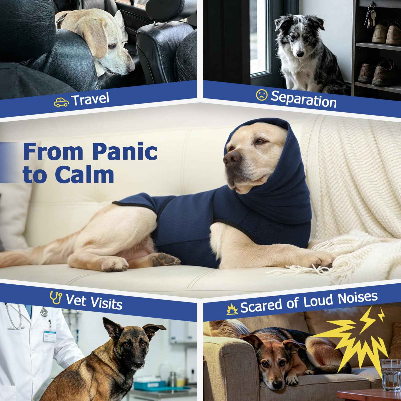 Featured Products - Priscilla's Pet Paradise