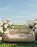 Chester & Lee Classic Velvet Dog Bed in Beige - Ultimate Comfort for Your Pet