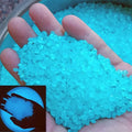 1000-Pieces: Luminous Glowing Stones for Garden, Plants, Aquarium & More - Priscilla's Pet Paradise