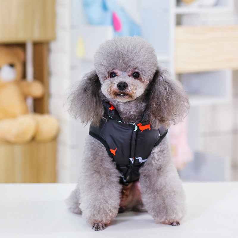 Pet Supplies: Stylish and Comfortable Dog Clothes for Pets