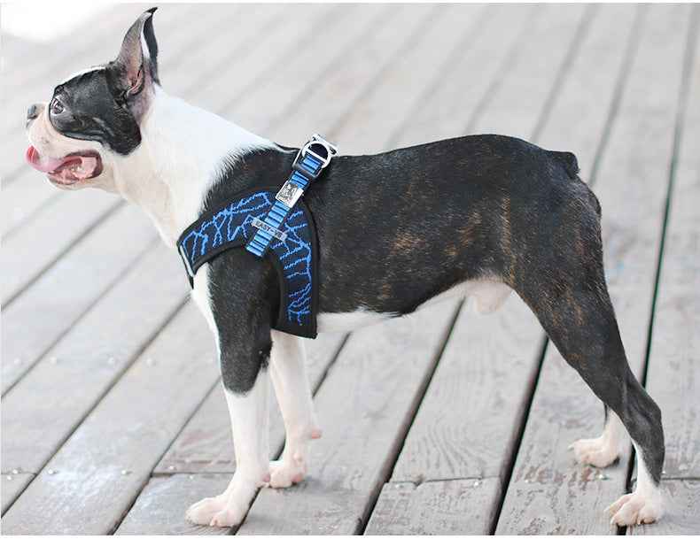Pet Harness Leash - Premium Chest Harness and Leash for Pets in Stock