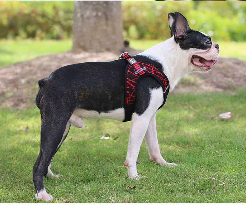 Pet Harness Leash - Premium Chest Harness and Leash for Pets in Stock