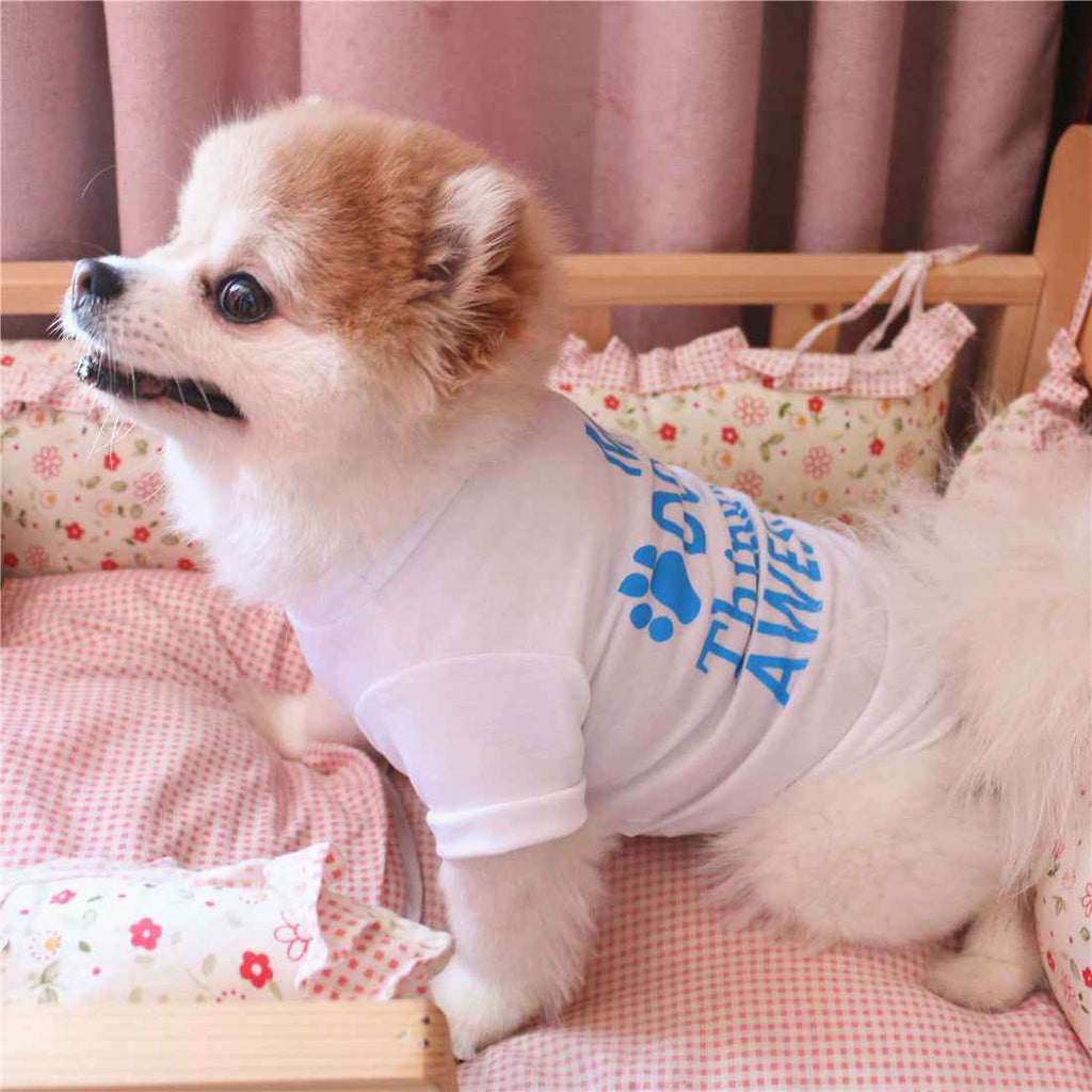 Summer Pet Clothing for Stylish and Comfortable Furry Friends