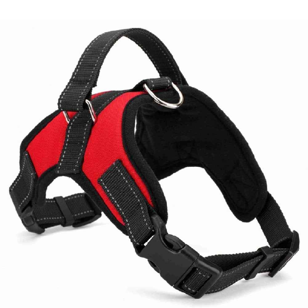 Pet Supplies Medium and Large Dog Collar for Comfort and Durability