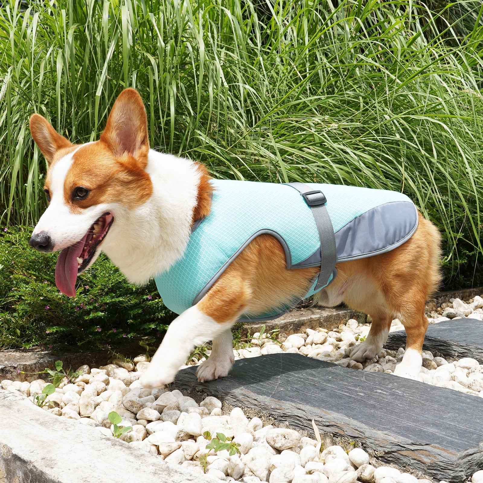 Pet Cooling Vest for Dogs - Cooling Summer Clothing for Hot Weather