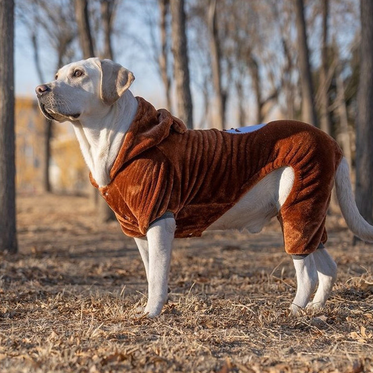 Big Clothes Year Medium-sized Large Dog - Priscilla's Pet Paradise