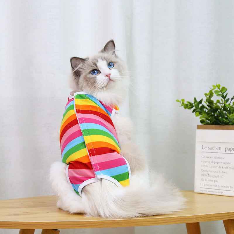 Cat Spay Neuter Surgery Supplies - Clothing for Post-Op Recovery