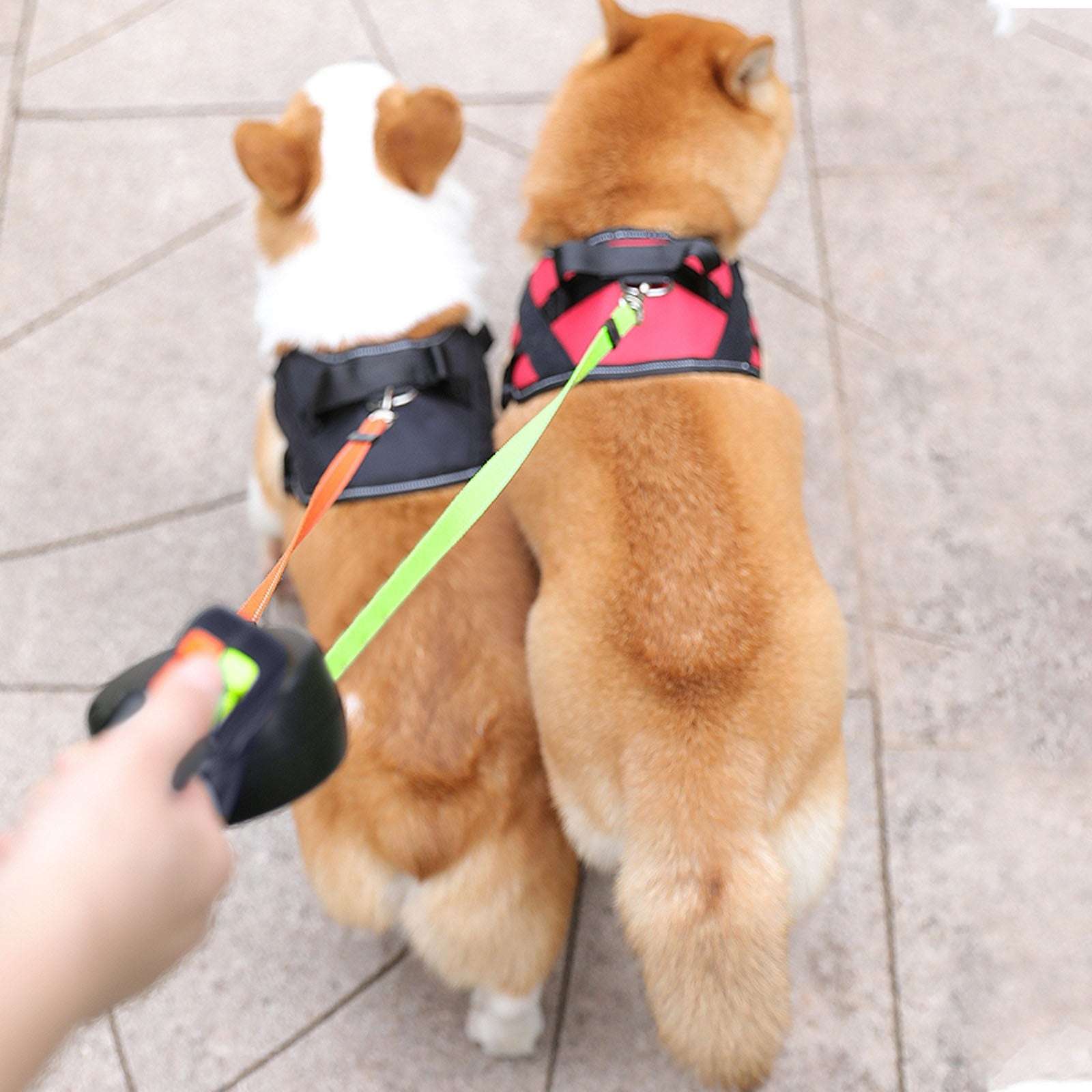 Retractable Dual Double Pet Rope Leash Tangle Free Walk For Two Dogs - Priscilla's Pet Paradise
