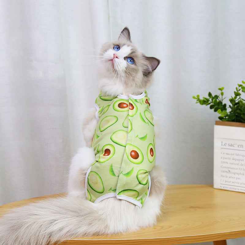 Cat Spay Neuter Surgery Supplies - Clothing for Post-Op Recovery