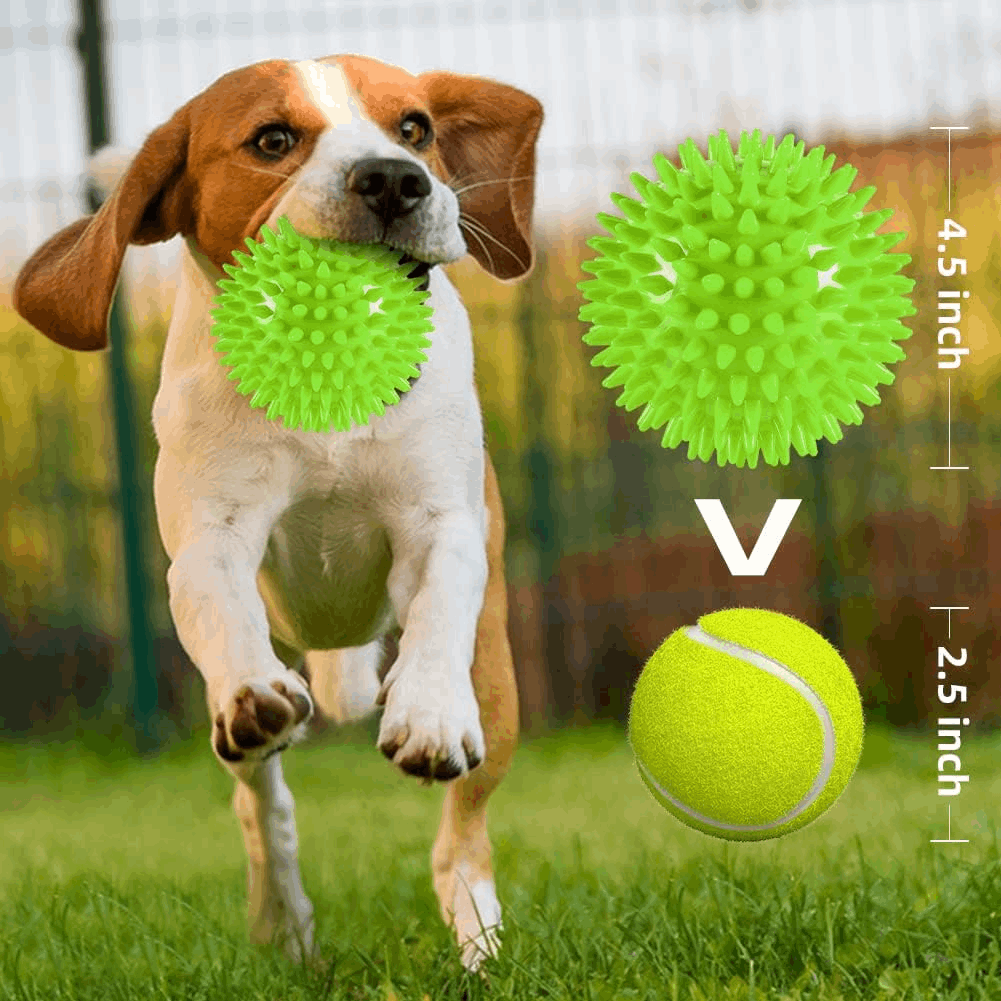 2.5” Squeaky Dog Balls for Small Dogs - Interactive Teething Chew Toys for Clean Teeth and Training