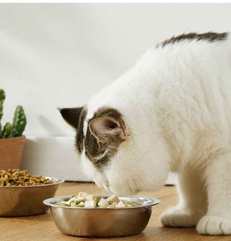Into Cat Kittens Porcelain Cat Food Bowl - Ceramic Small Dog Pet Bowl