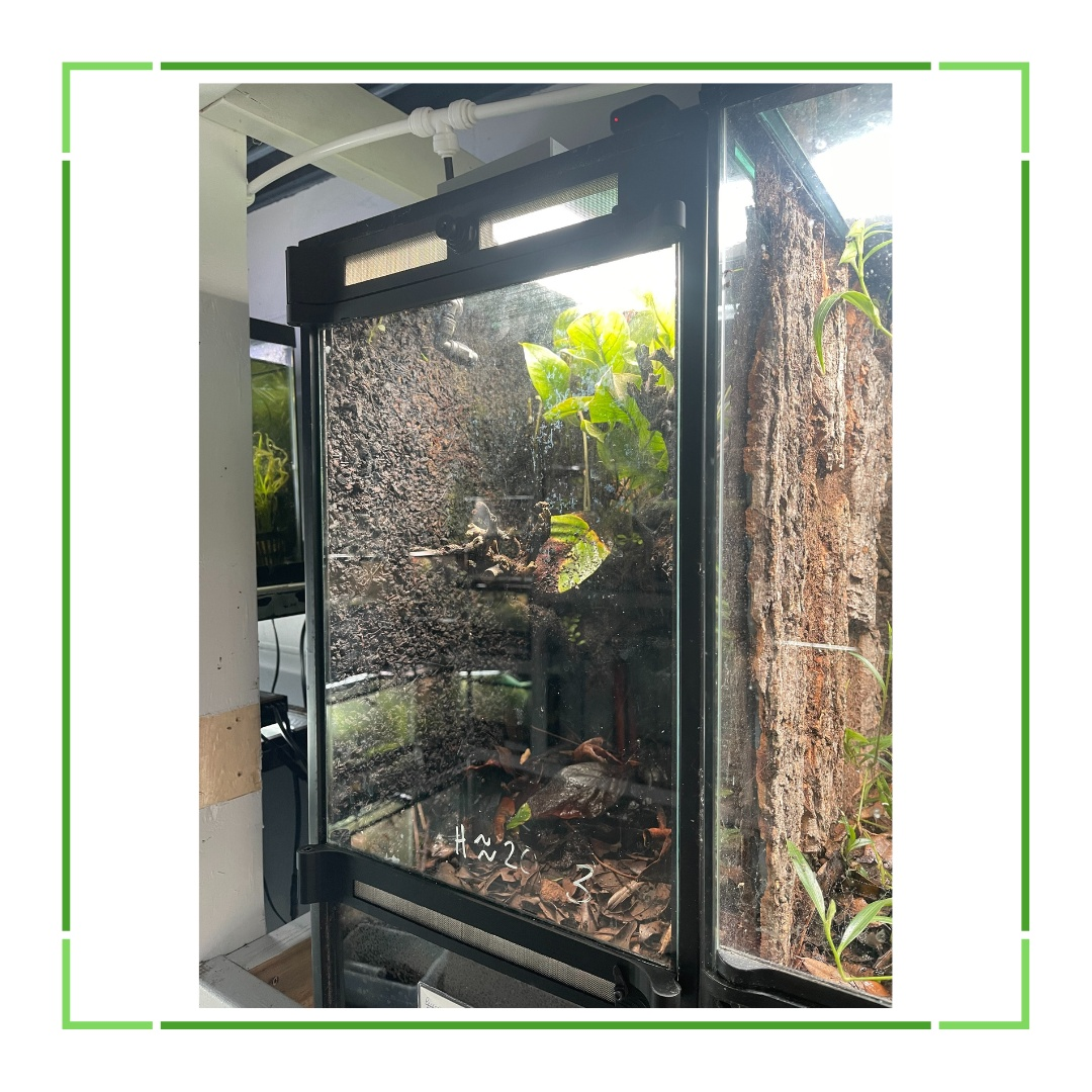 Thrive Ecosystems Aqueon Aquarium Conversion Kit - Priscilla's Pet Paradise