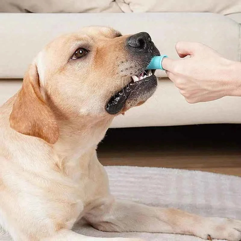 5-Piece Super Soft Silicone Pet Finger Toothbrush for Teeth Cleaning