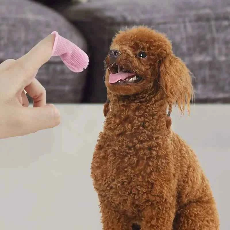 5-Piece Super Soft Silicone Pet Finger Toothbrush for Teeth Cleaning