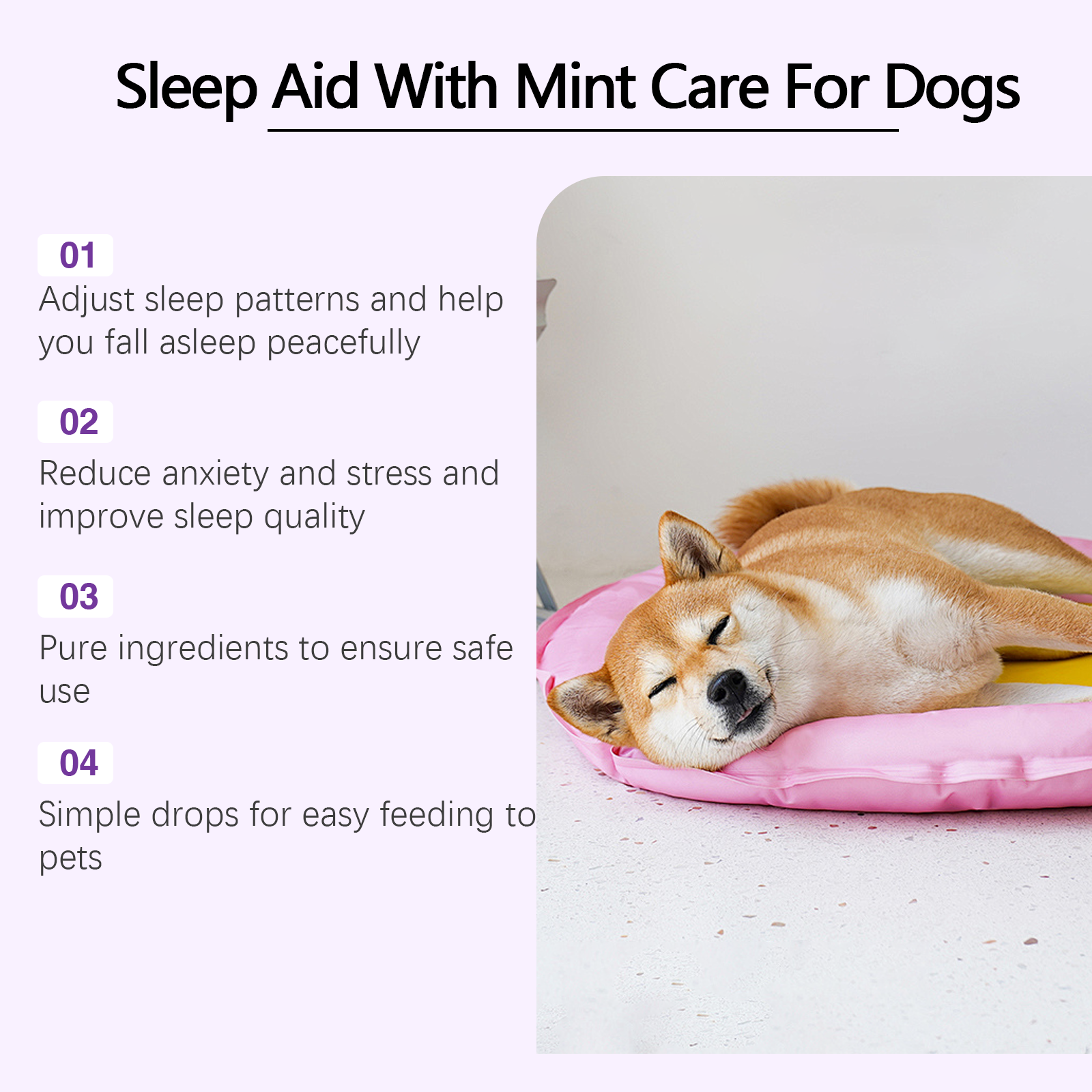 Dog Sleep Drops Pamper Dogs Sleeping At Night Pet Sleep Care Drops Supplement - Priscilla's Pet Paradise