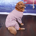 Pet dog clothes medium and large dogs - Priscilla's Pet Paradise