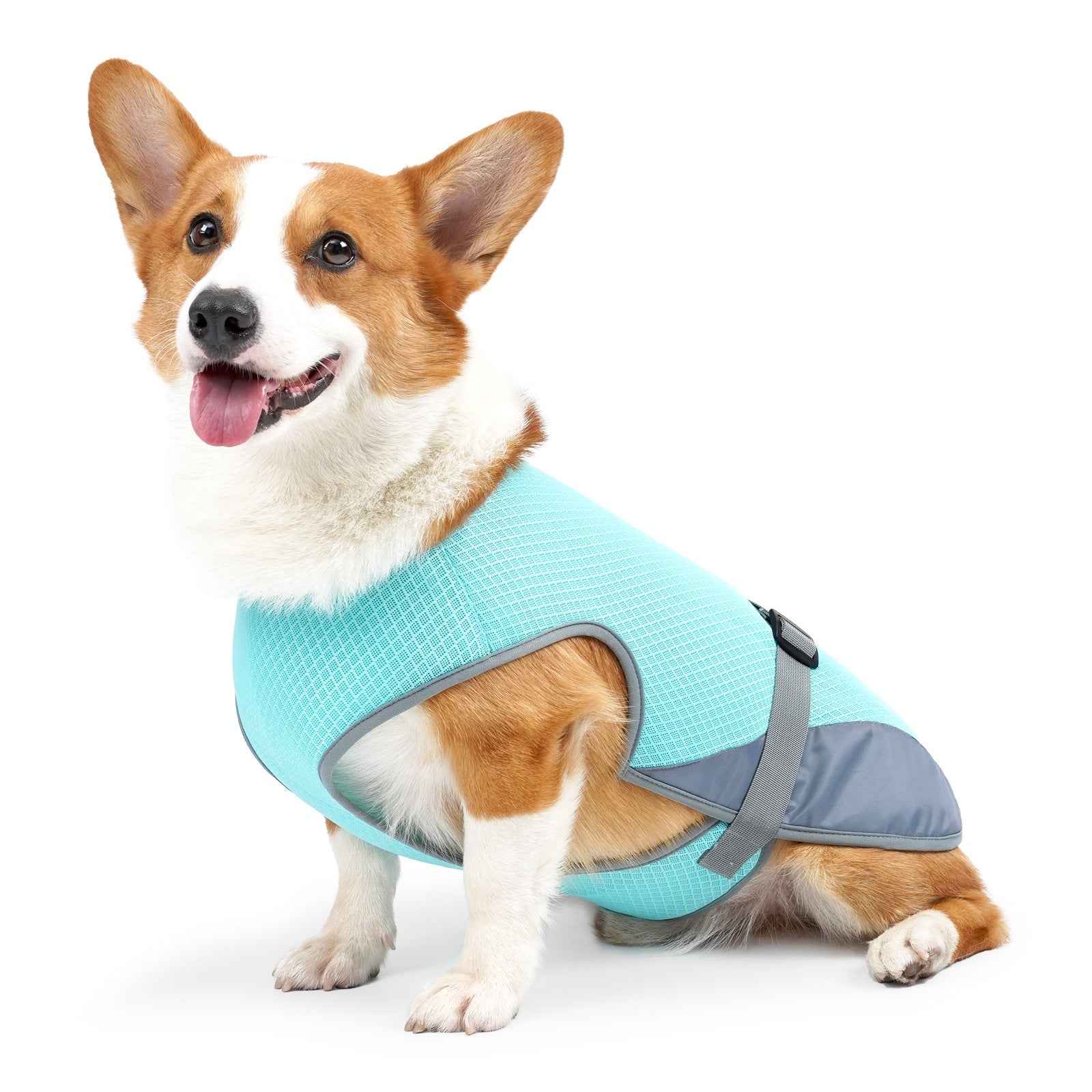 Pet Cooling Vest for Dogs - Cooling Summer Clothing for Hot Weather