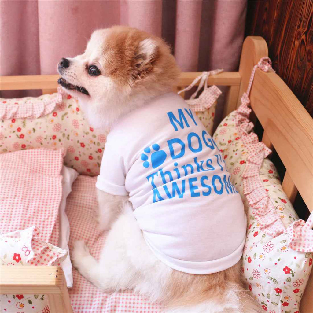Summer Pet Clothing for Stylish and Comfortable Furry Friends