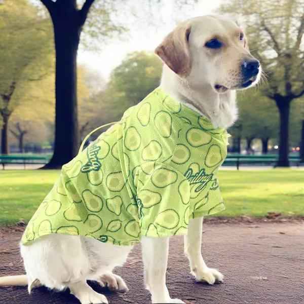 Big Dog Clothes Spring Summer Collection for Your Pet