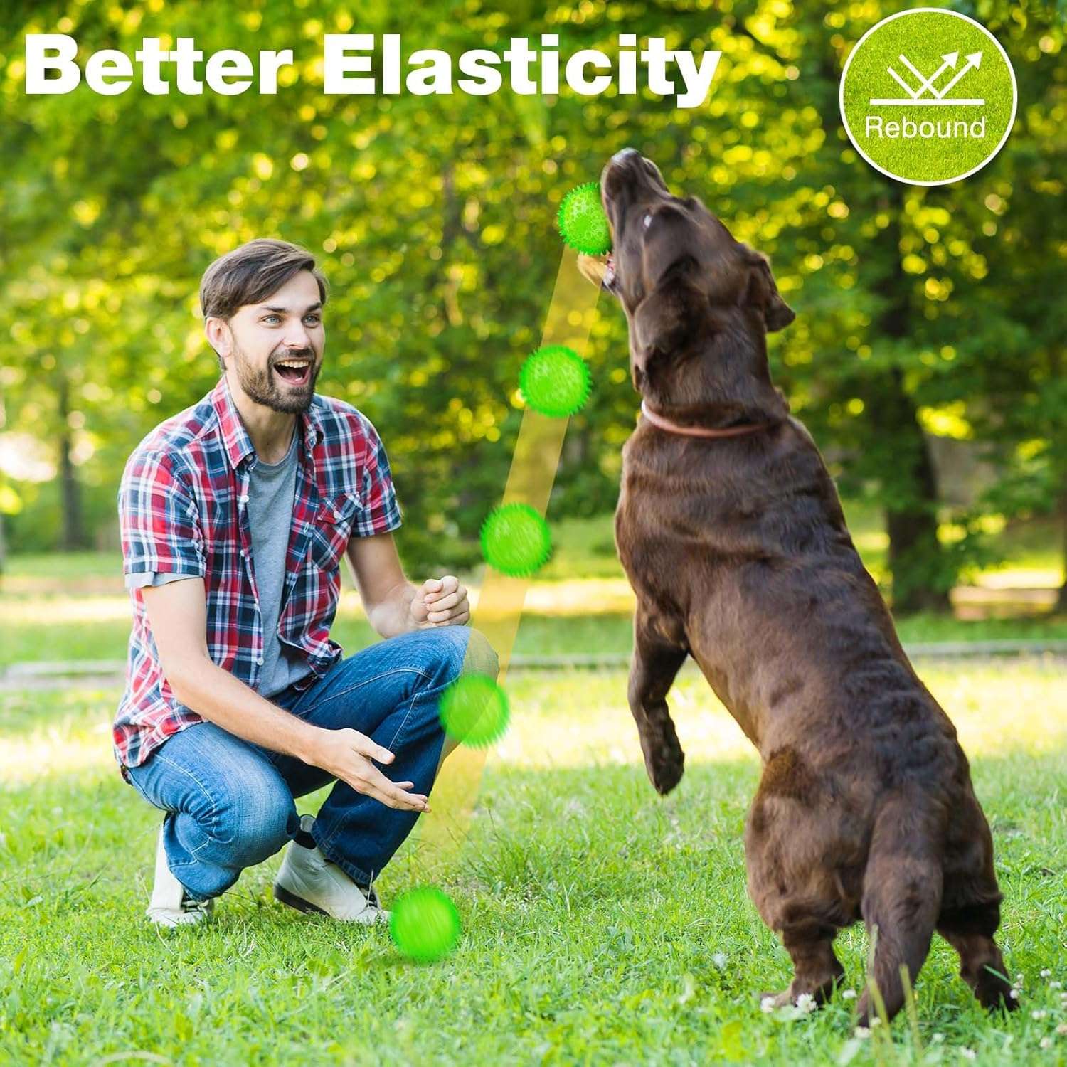2.5” Squeaky Dog Balls for Small Dogs - Interactive Teething Chew Toys for Clean Teeth and Training