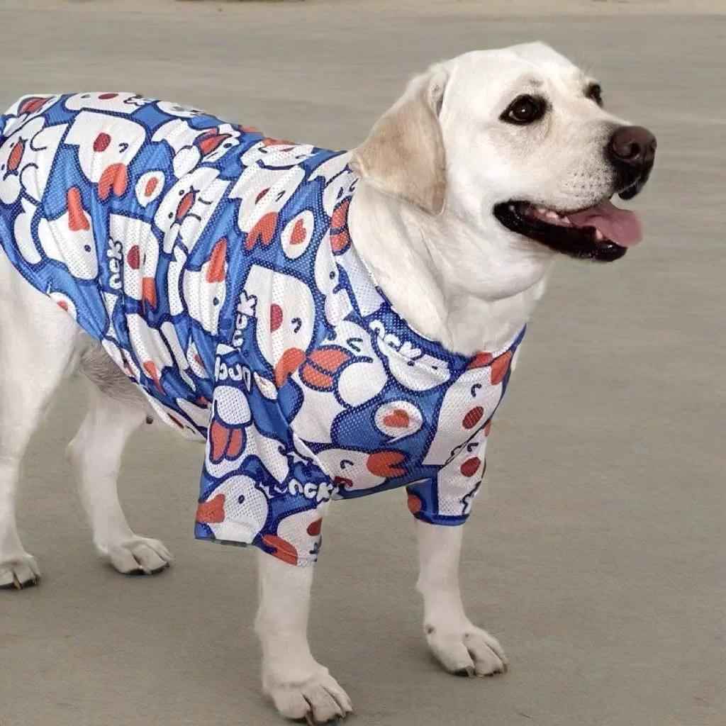 Big Dog Clothes Spring Summer Collection for Your Pet