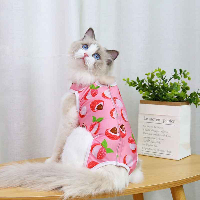 Cat Spay Neuter Surgery Supplies - Clothing for Post-Op Recovery