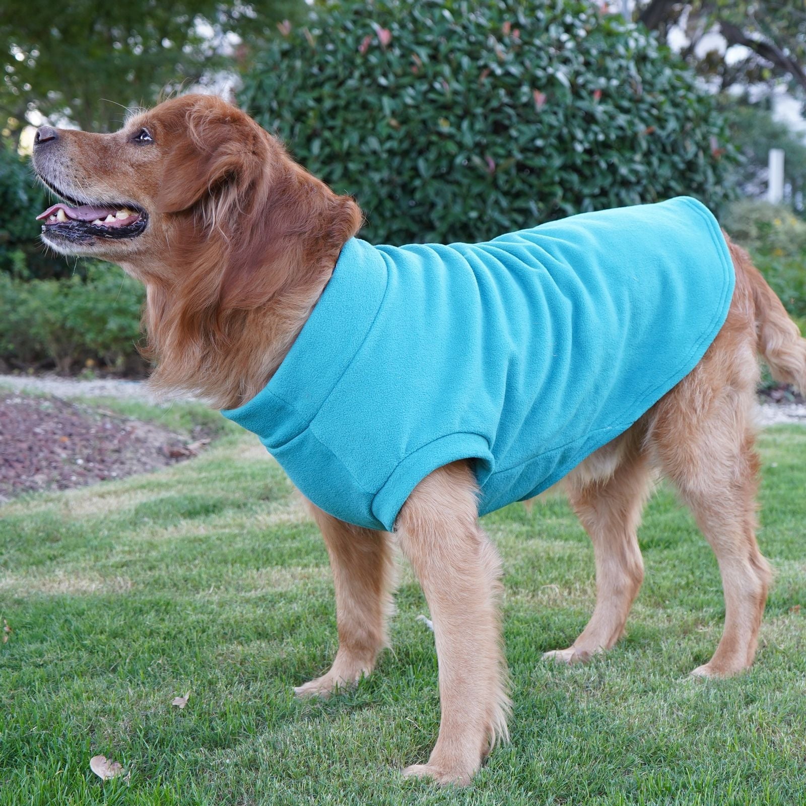 Pet Labrador Golden Retriever Dog Clothes Large Breed Winter Warm Pet Clothes European and American Cross-border Wholesale - Priscilla's Pet Paradise