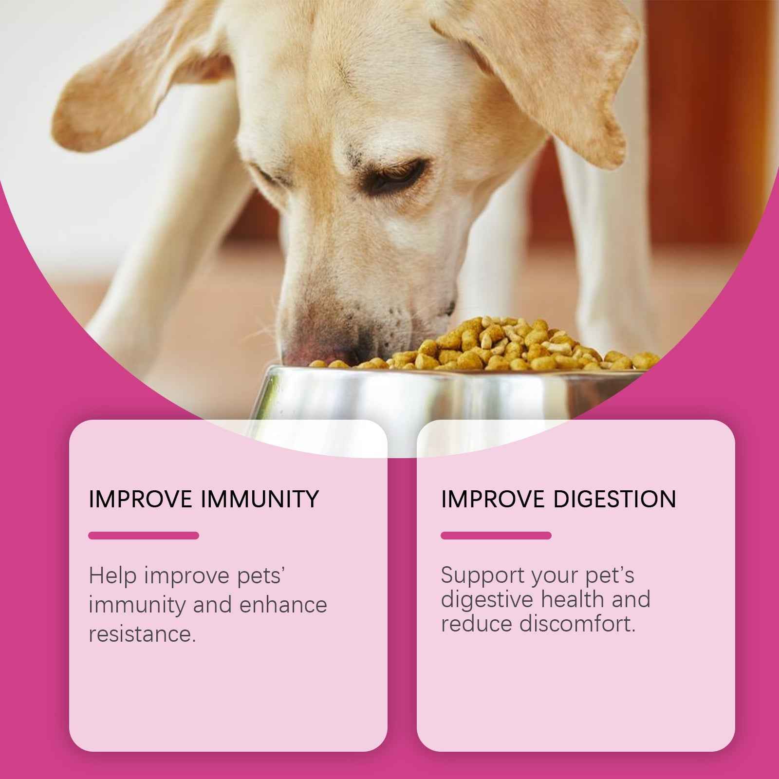 Dog Probiotic Tablets To Improve Intestinal Health, Balance Digestion And Absorption Of Pet Nutritional Supplements