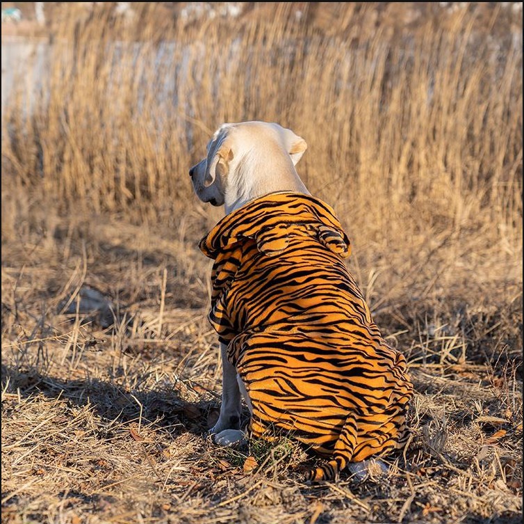 Big Clothes Year Medium-sized Large Dog - Priscilla's Pet Paradise