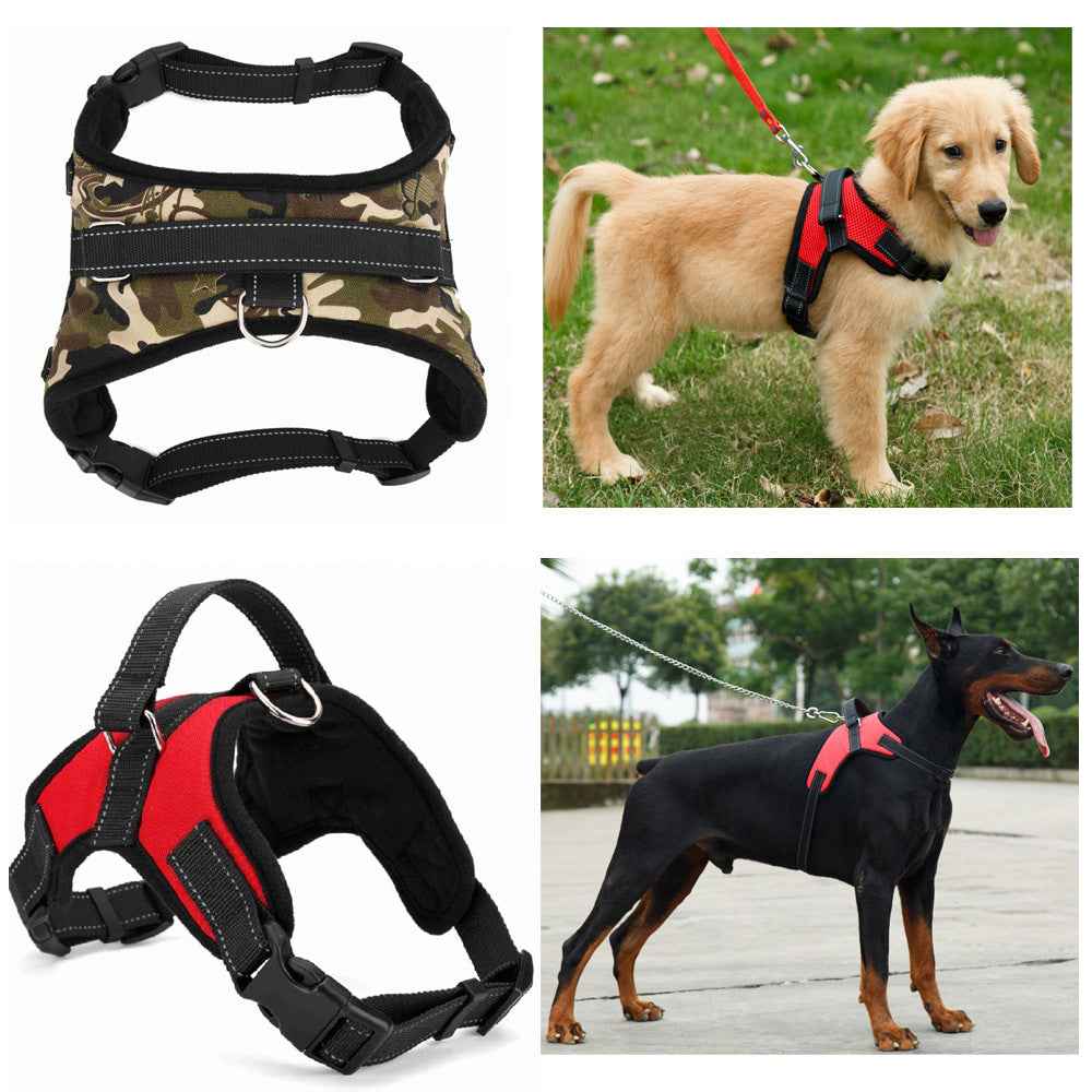 Pet Supplies Medium and Large Dog Collar for Comfort and Durability