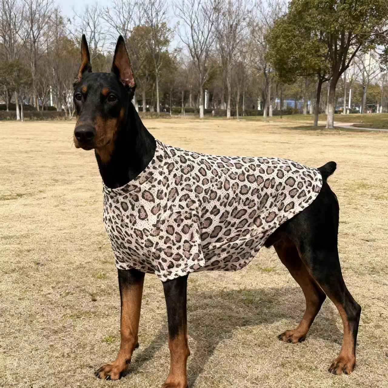 Big Dog Clothes Spring Summer Collection for Your Pet