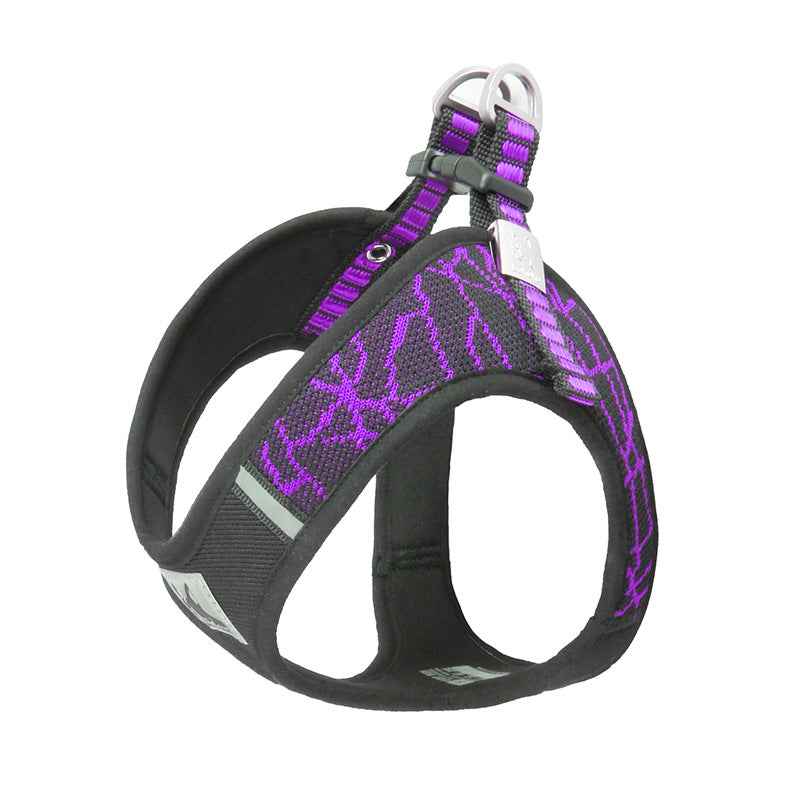 Pet Harness Leash - Premium Chest Harness and Leash for Pets in Stock