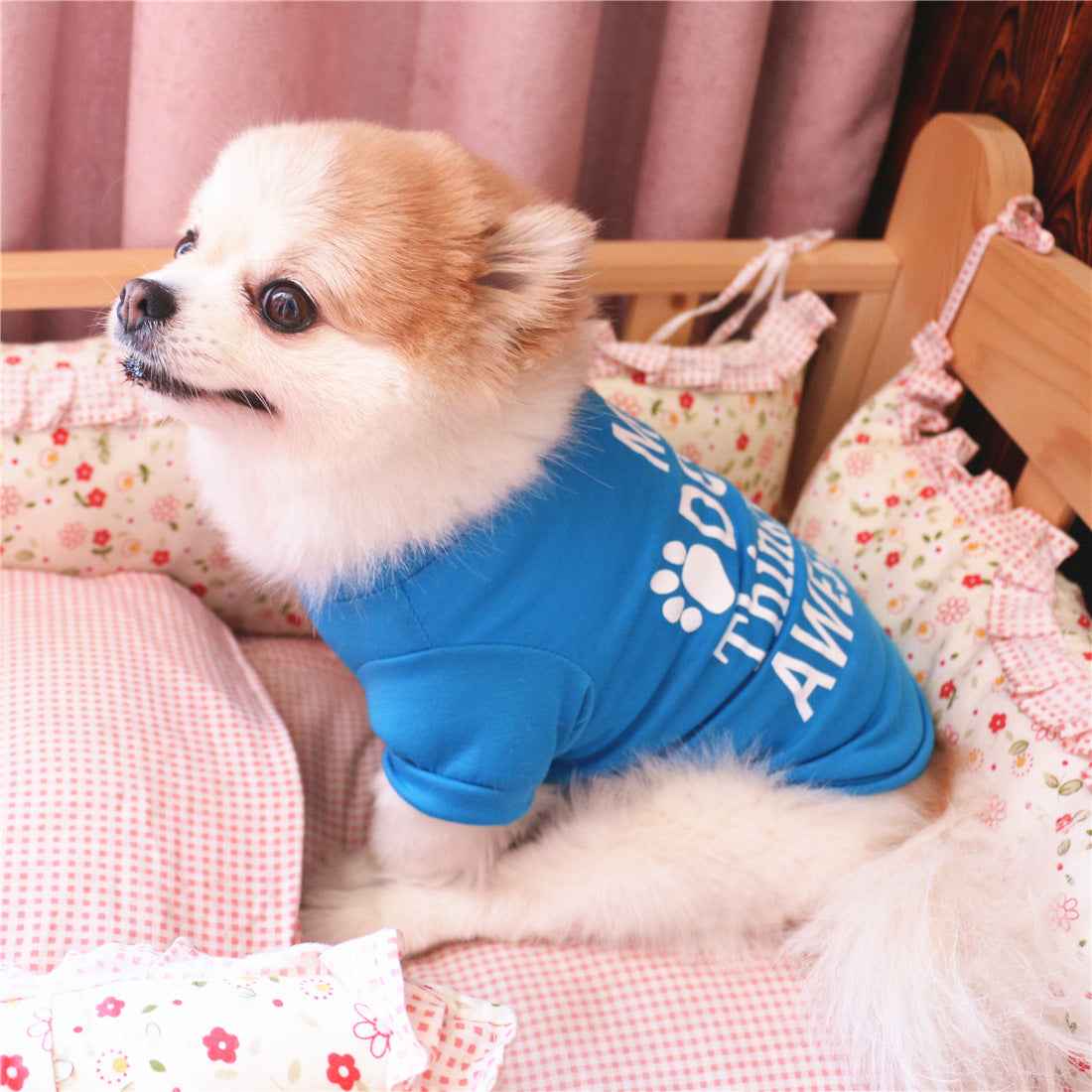 Summer Pet Clothing for Stylish and Comfortable Furry Friends