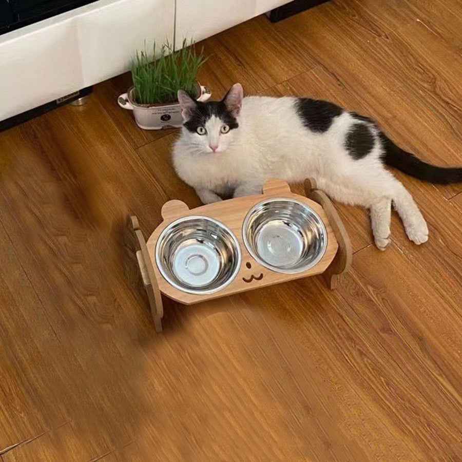 Into Cat Kittens Porcelain Cat Food Bowl - Ceramic Small Dog Pet Bowl