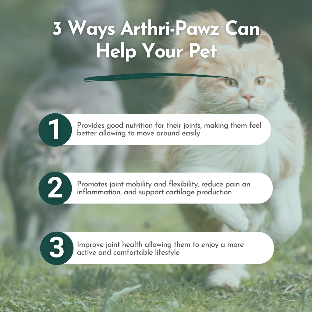 Arthri-Pawz – with Glucosamine for Cats and Dogs - Priscilla's Pet Paradise