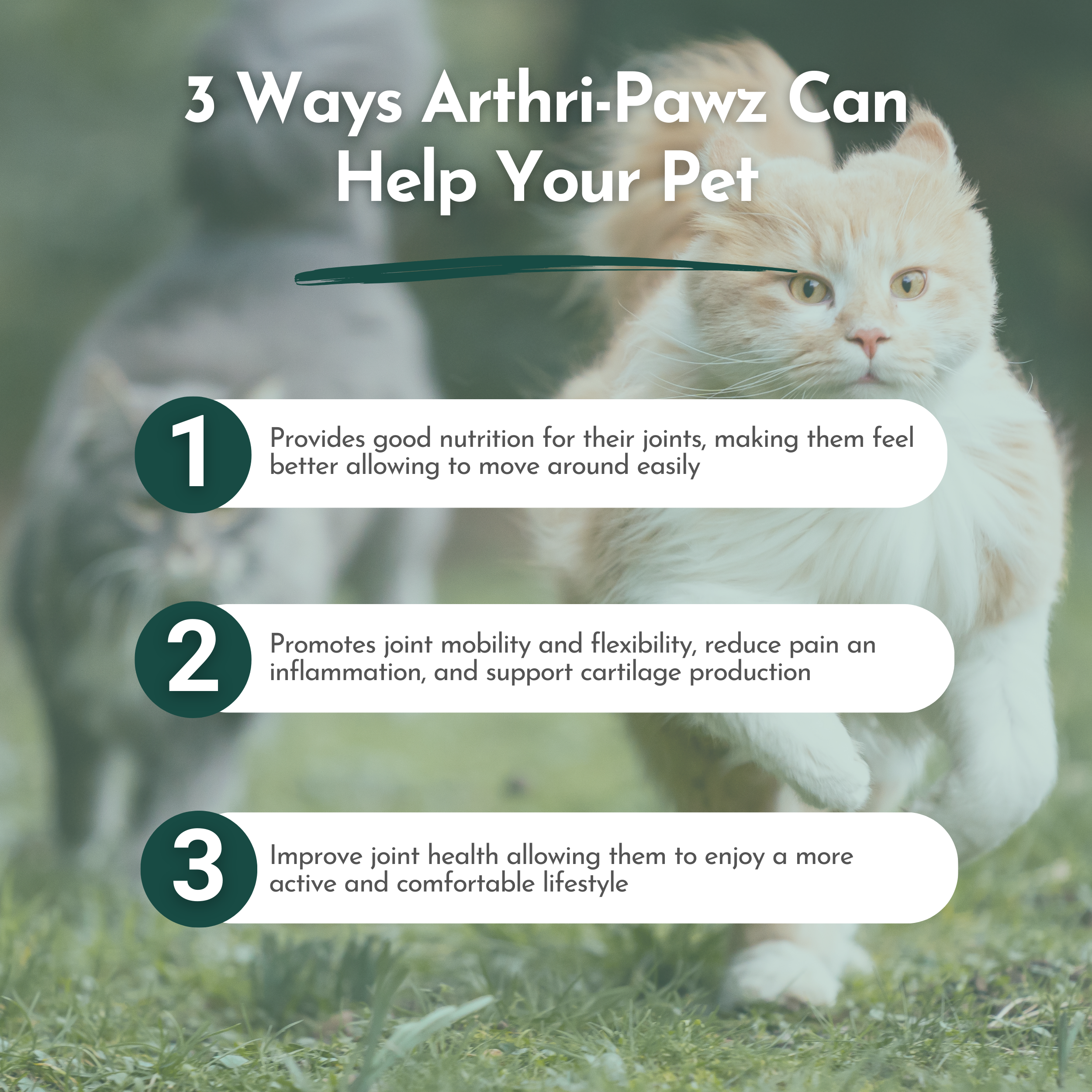 Arthri-Pawz – with Glucosamine for Cats and Dogs - Priscilla's Pet Paradise