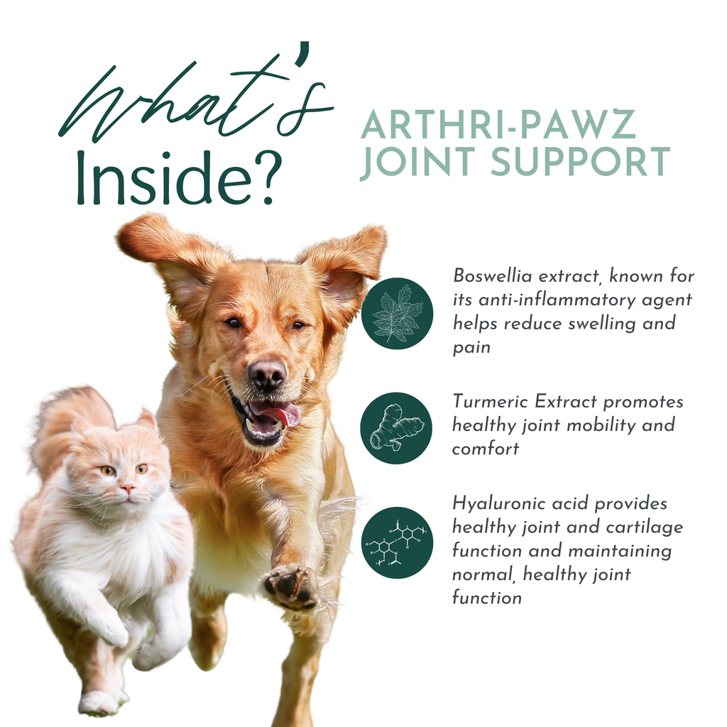 Arthri-Pawz – with Glucosamine for Cats and Dogs - Priscilla's Pet Paradise