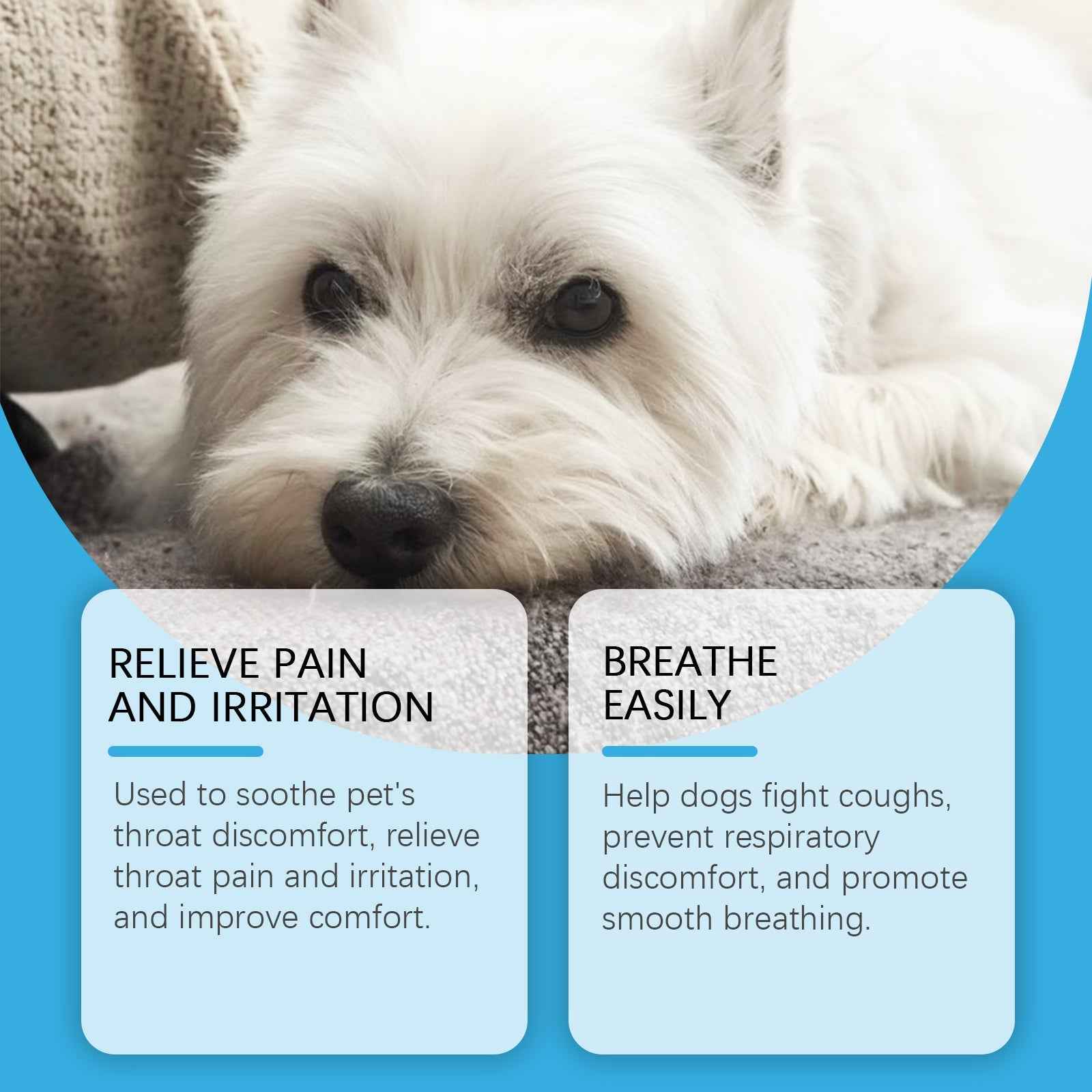 Dog Syrup, Pet Dogs Absorb Nutrition Care Health Special Maintenance Supplement Syrup