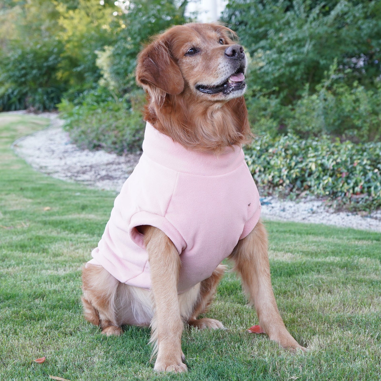 Pet Labrador Golden Retriever Dog Clothes Large Breed Winter Warm Pet Clothes European and American Cross-border Wholesale - Priscilla's Pet Paradise