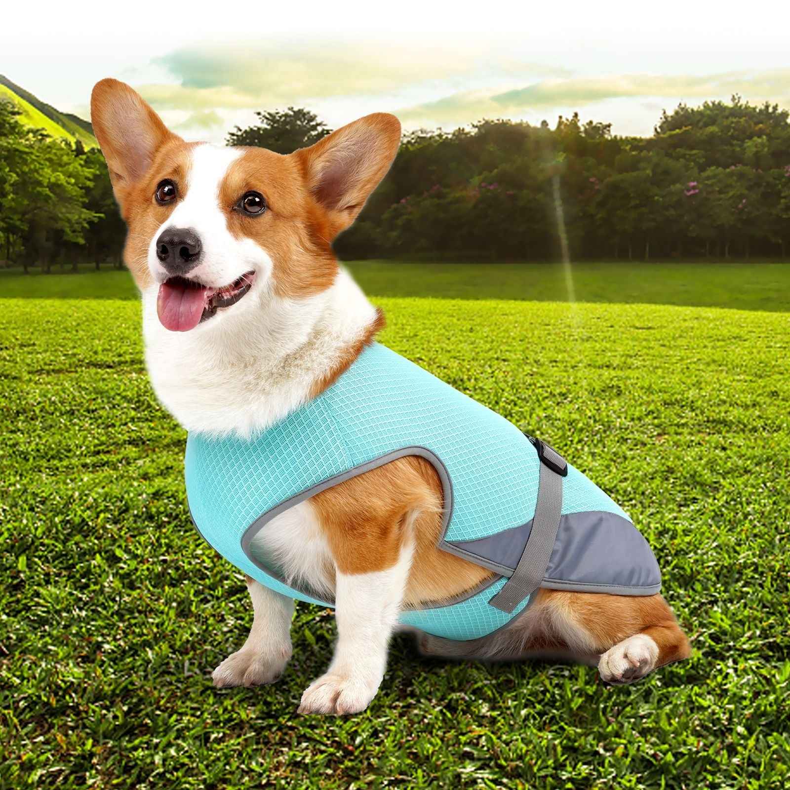 Pet Cooling Vest for Dogs - Cooling Summer Clothing for Hot Weather