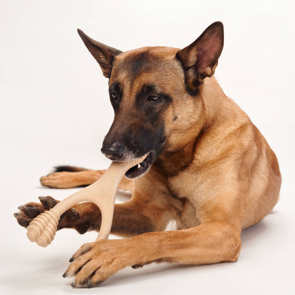 BetterBone MODERATE Chew Toy - Priscilla's Pet Paradise