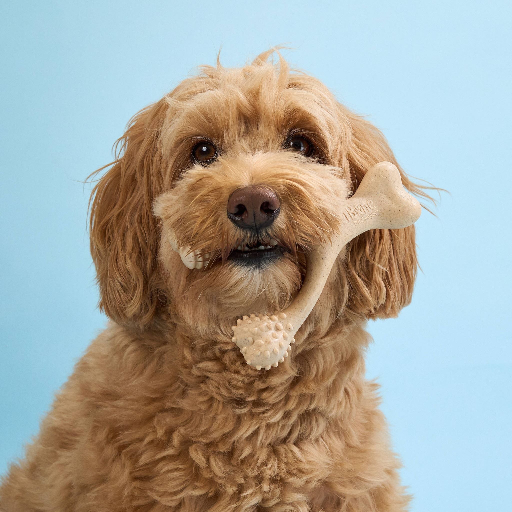 BetterBone Chew Toy LIGHT - Durable and Safe Chewing Fun for Dogs