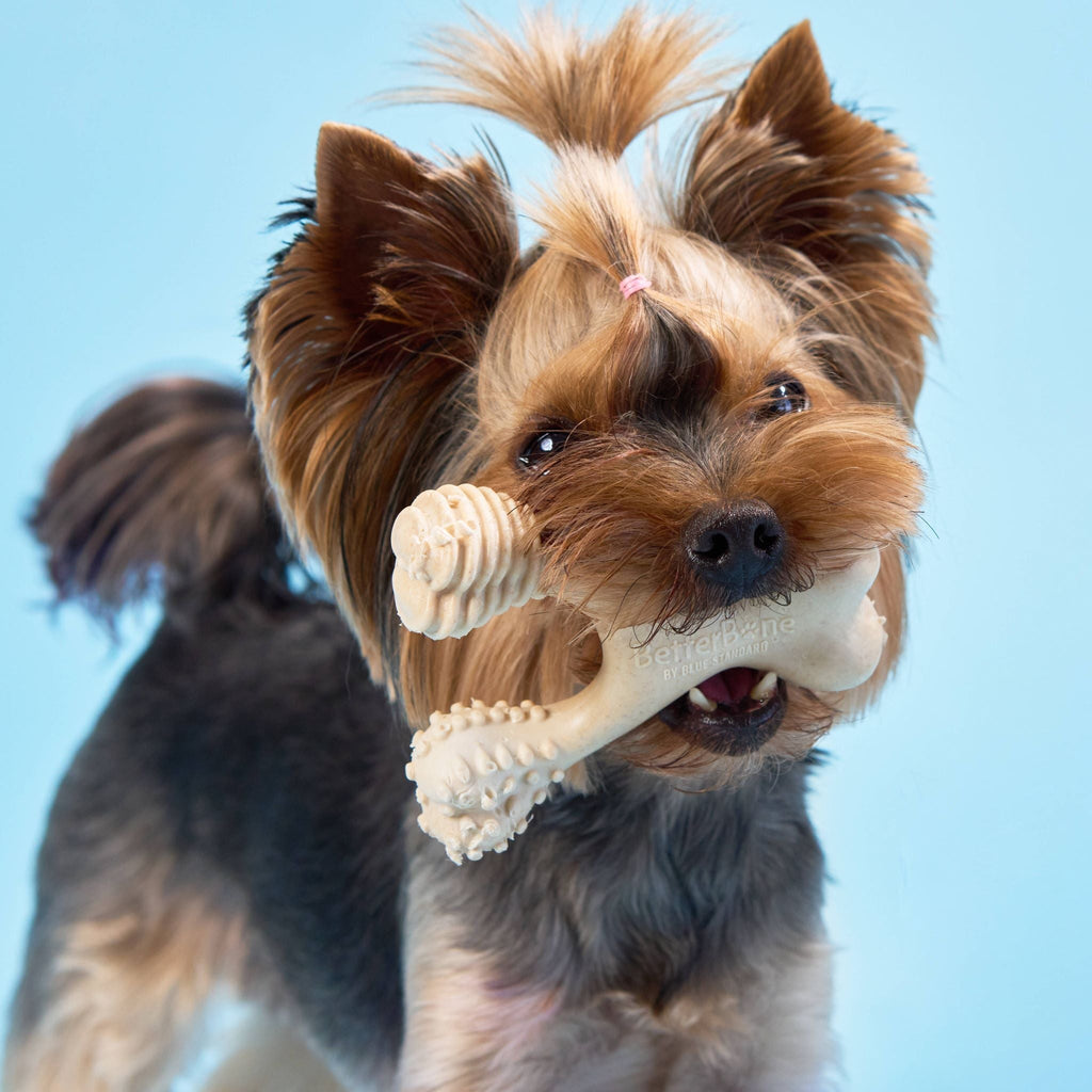 BetterBone Chew Toy LIGHT - Durable and Safe Chewing Fun for Dogs