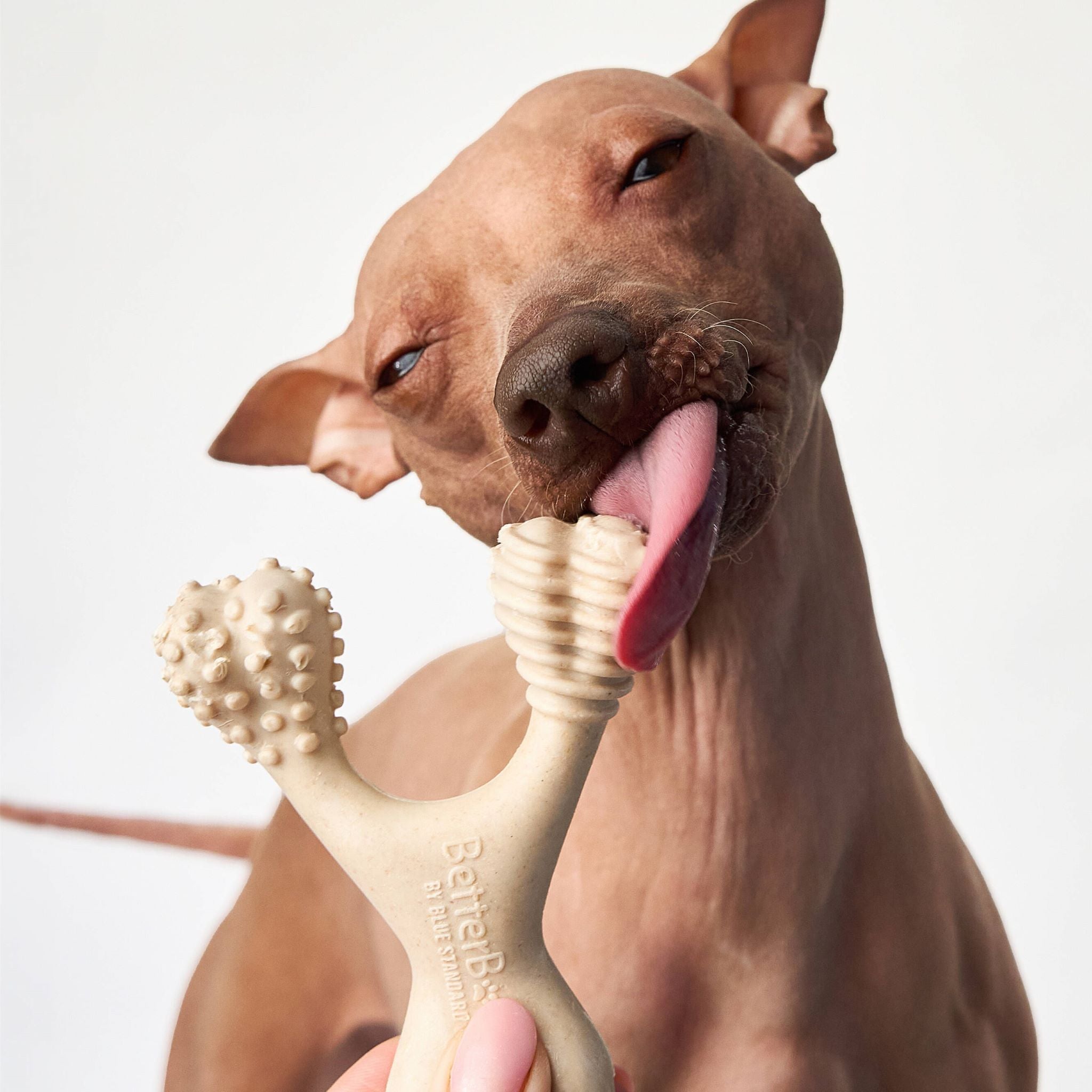 BetterBone Chew Toy LIGHT - Durable and Safe Chewing Fun for Dogs