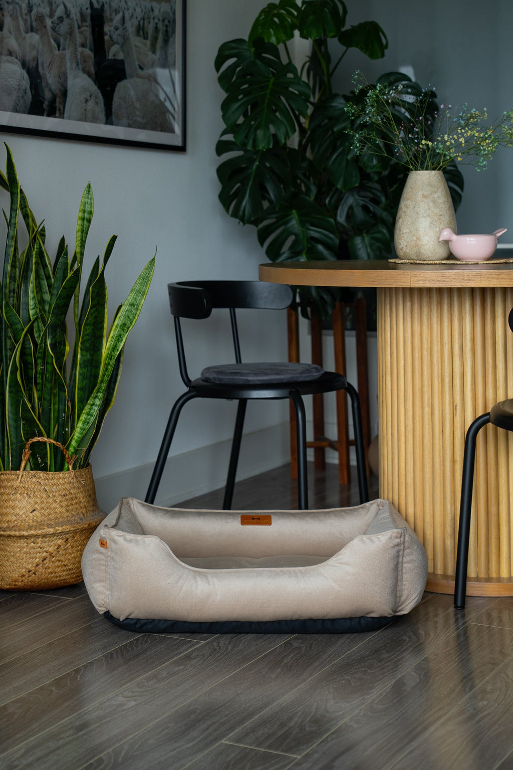 Chester & Lee Classic Velvet Dog Bed in Beige - Ultimate Comfort for Your Pet