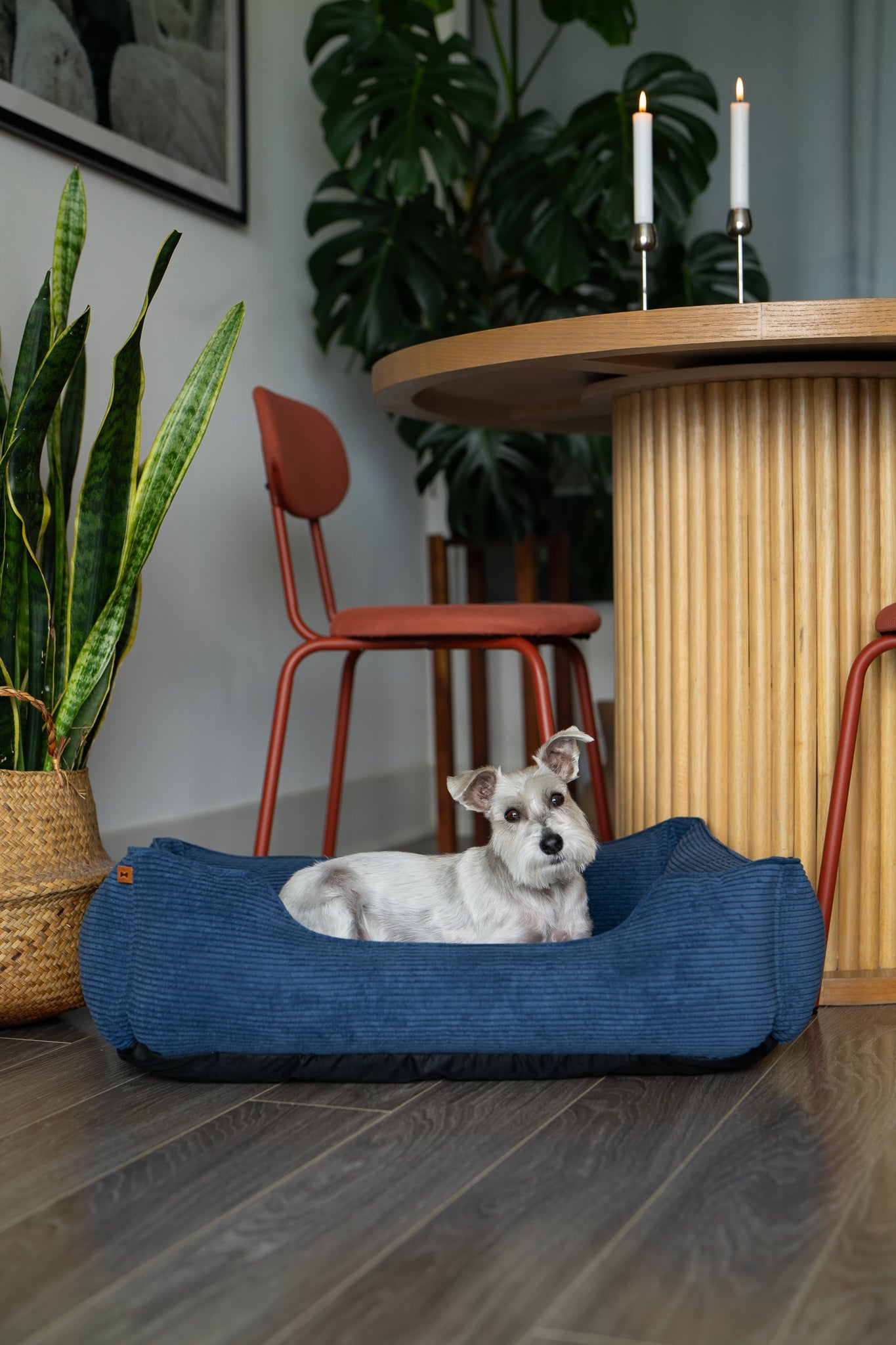 Chester & Lee Fancy Corduroy Sleeper Dog Bed for Ultimate Comfort