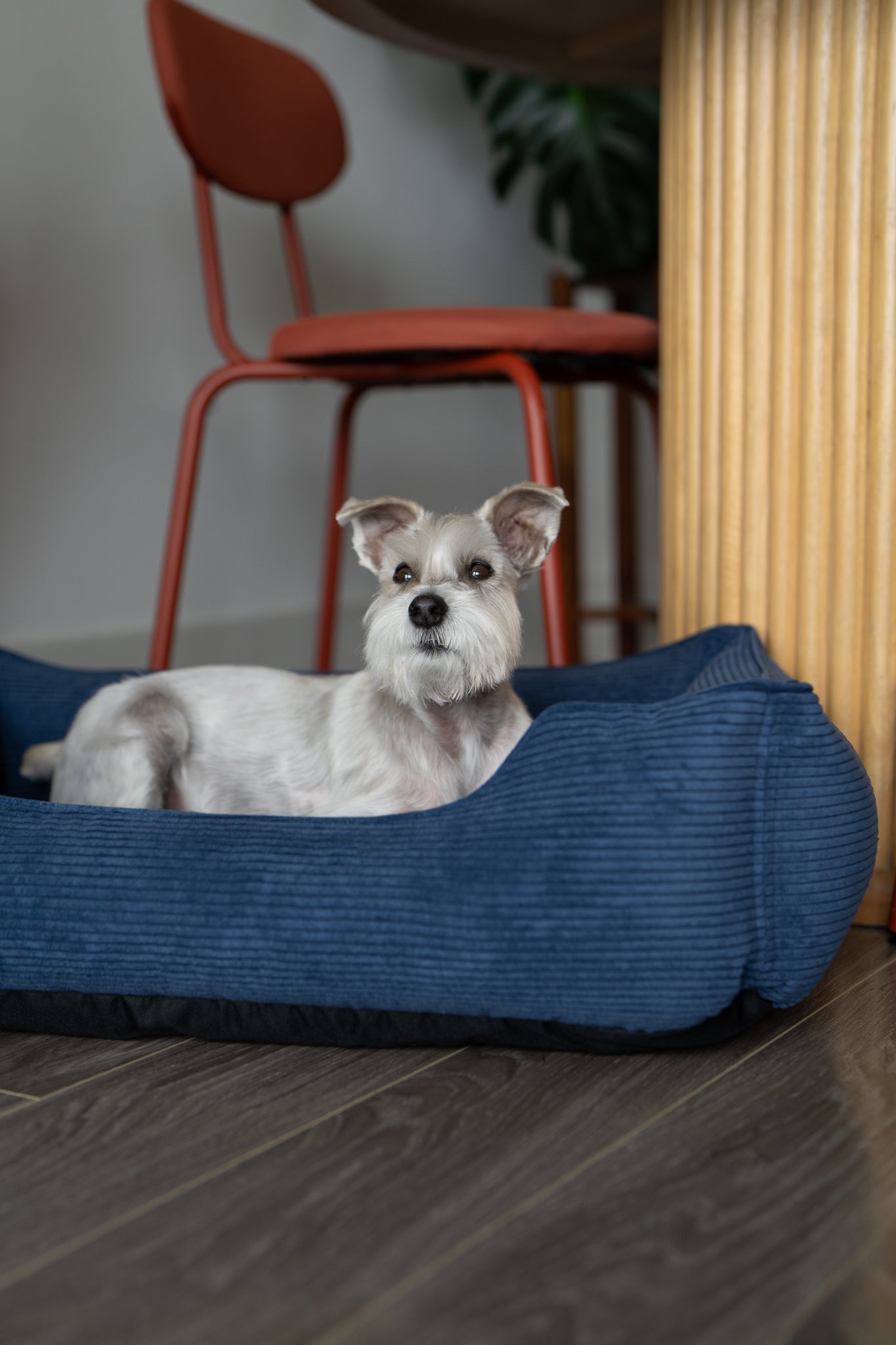 Chester & Lee Fancy Corduroy Sleeper Dog Bed for Ultimate Comfort