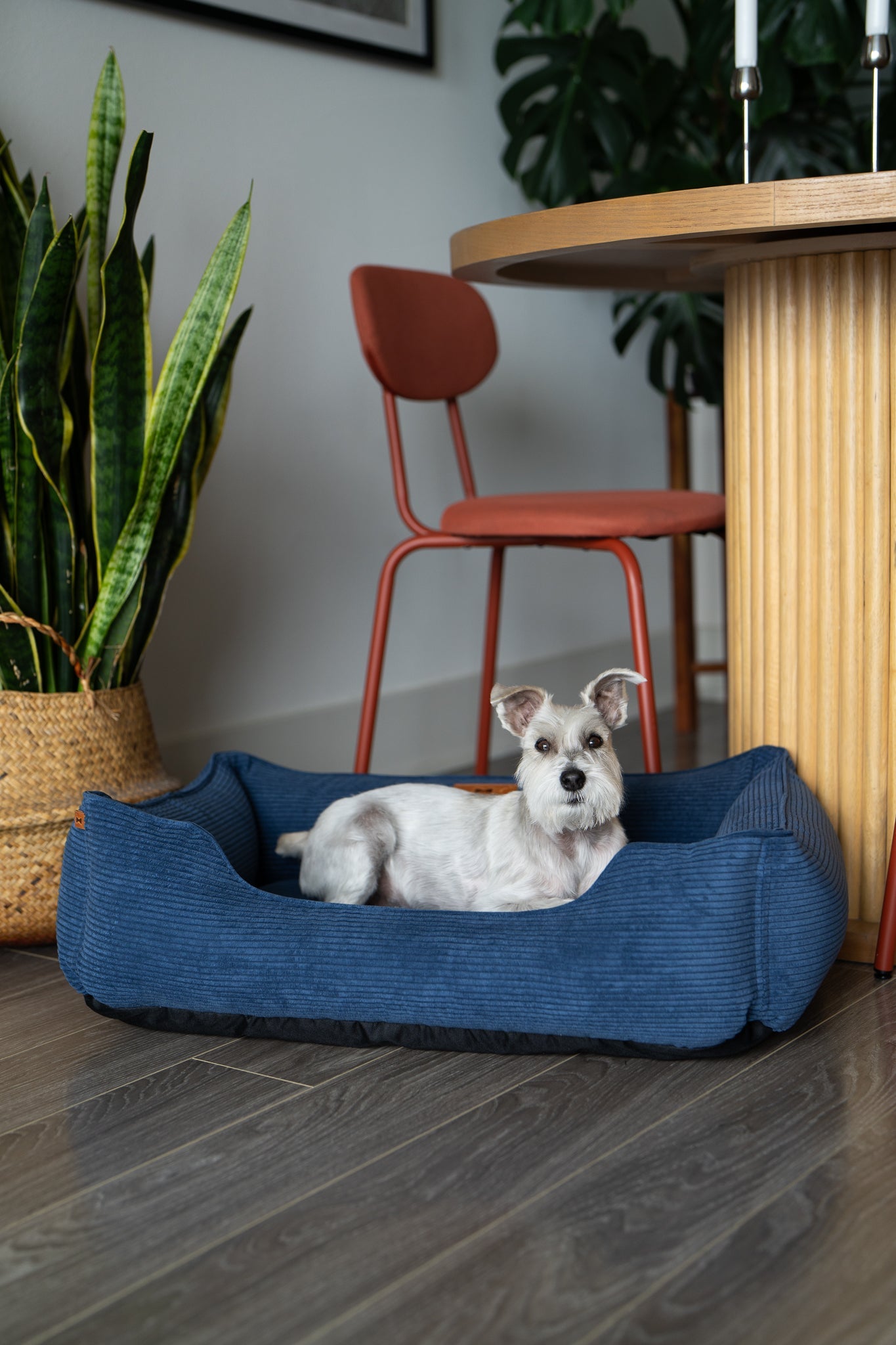 Chester & Lee Fancy Corduroy Sleeper Dog Bed for Ultimate Comfort
