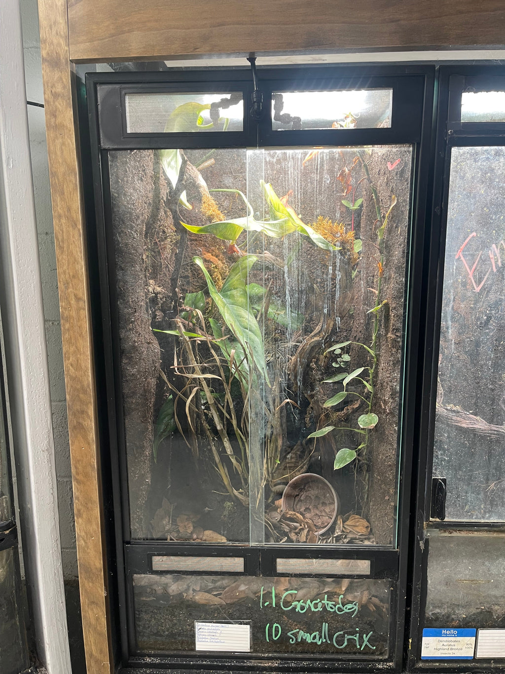 Thrive Ecosystems Aqueon Aquarium Conversion Kit - Priscilla's Pet Paradise