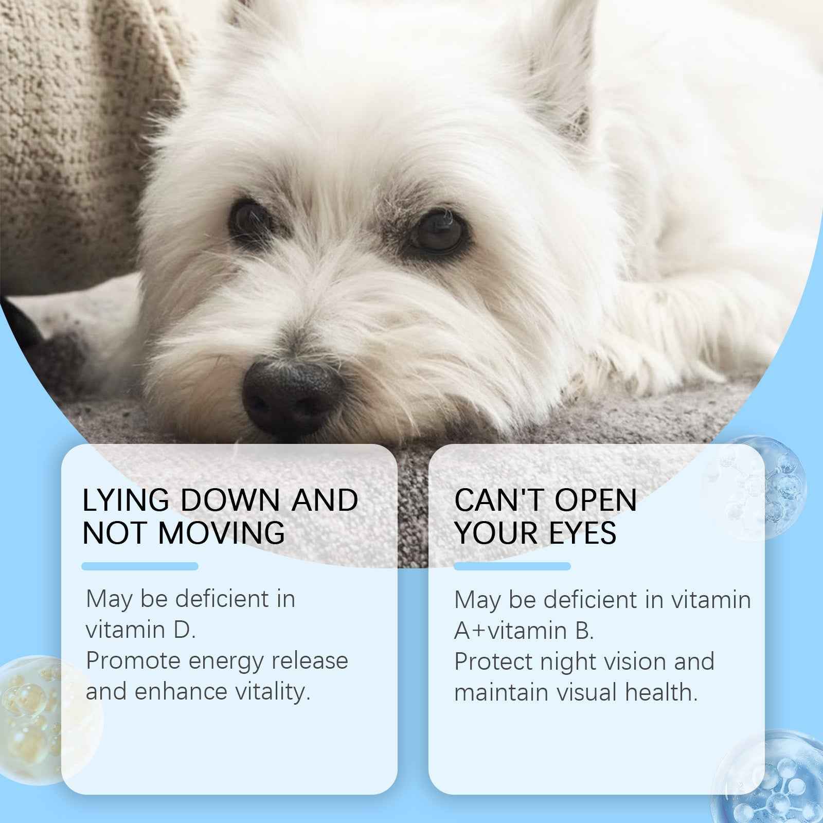 Multivitamin Tablets For Dogs, Cats, Dogs And Pets Absorb Nutritional Health Supplements